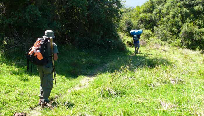 Hikers on Mount Meru on a grassy path surrounded by green trees