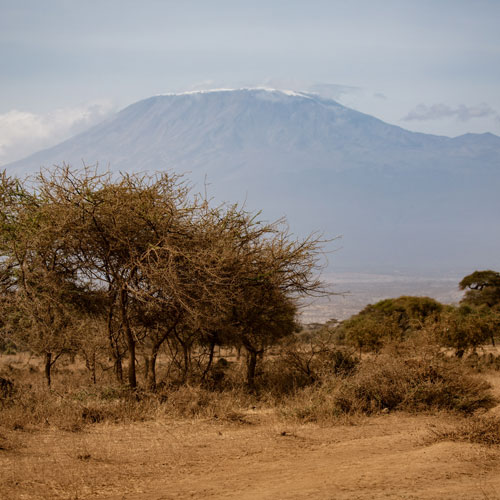 Mount Kilimanjaro seen from a dry plain at the foot of the mountain