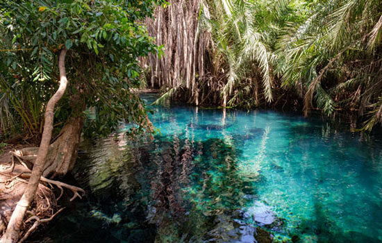 Body of blue water surrounded by trees in Chemka Hot Springs