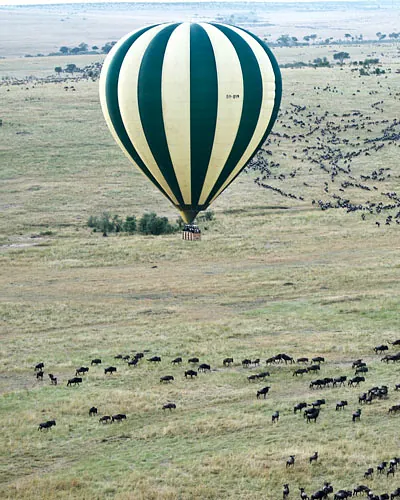 Hot air balloon flying over plains with wildebeest in Serengeti National Park