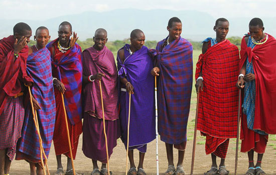 Eight warriors of a Maasai tribe side by side in their traditional colorful dress 